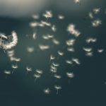自分を変えたい？ヨガで考える潜在意識、心の働きとは？